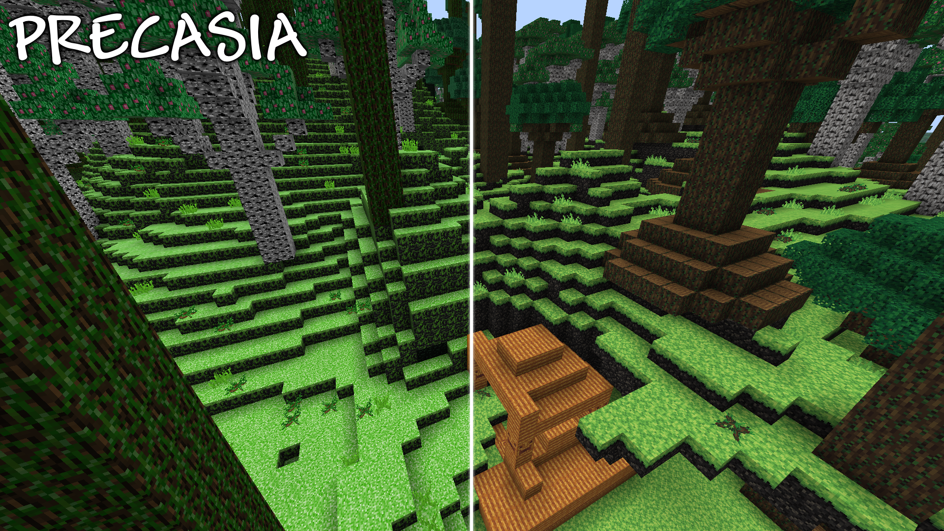 precasia.png