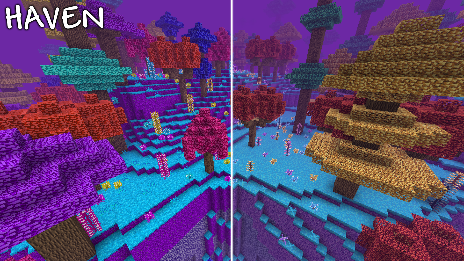 haven.png